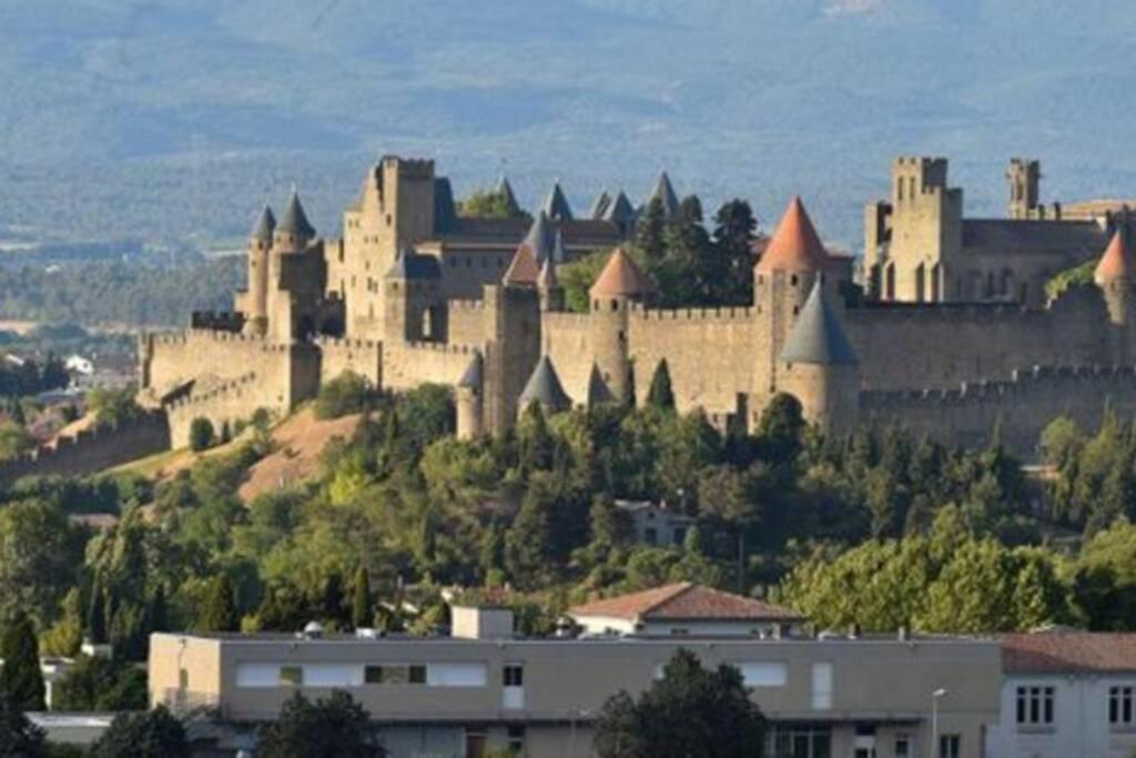 La Halte Du Canal Carcassonne Esterno foto